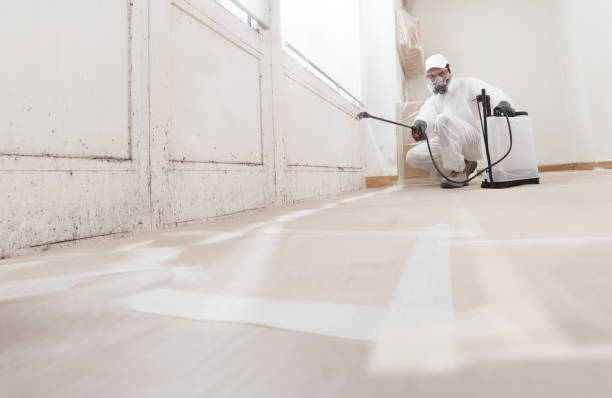 24/7 Emergency Mold Remediation experts in Decatur, MI
